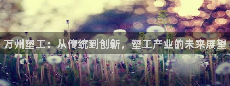 奥门太阳集团城：万州塑工：从传统到创新，塑工产业的未来展望