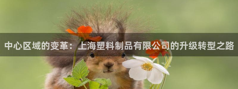 古天乐代言澳门太阳是真的吗：中心区域的变革：上海塑料制品有限