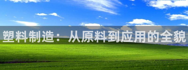 太阳成集团视频：塑料制造：从原料到应用的全貌