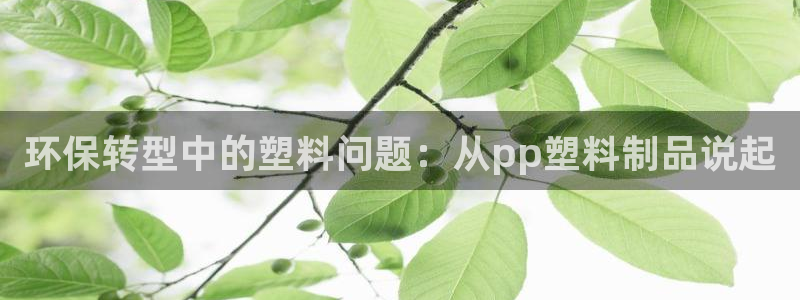 古天乐 太阳灯：环保转型中的塑料问题：从pp塑料制品说起