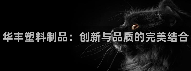 太阳集团古天乐代言：华丰塑料制品：创新与品质的完美结合