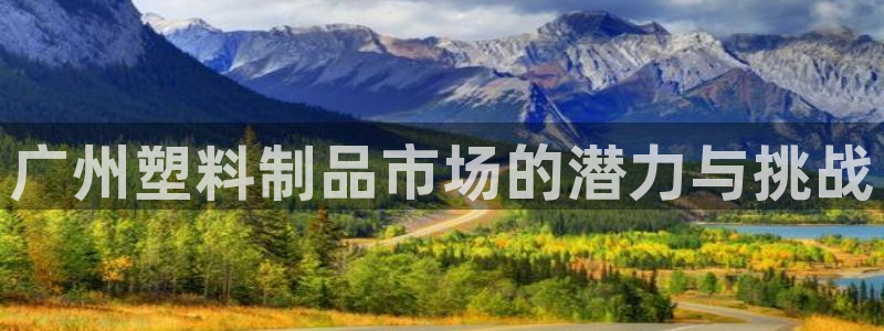 太阳诚集团是什么：广州塑料制品市场的潜力与挑战