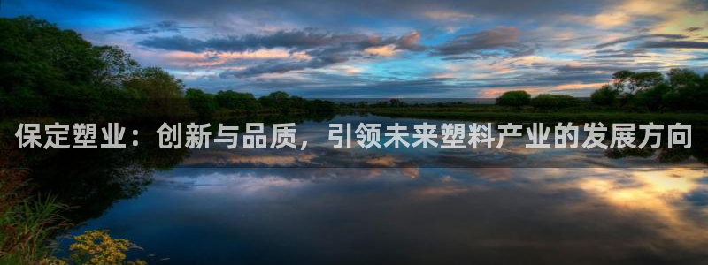 太阳软件：保定塑业：创新与品质，引领未来塑料产业的发展方向