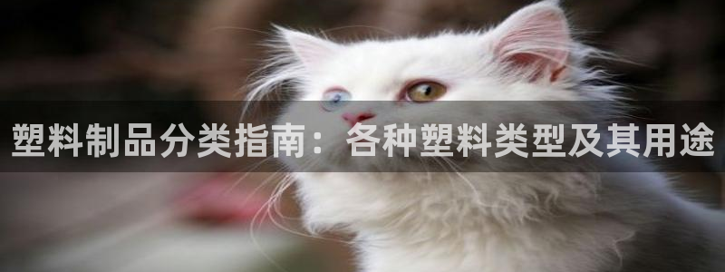 太阳集团城：塑料制品分类指南：各种塑料类型及其用途