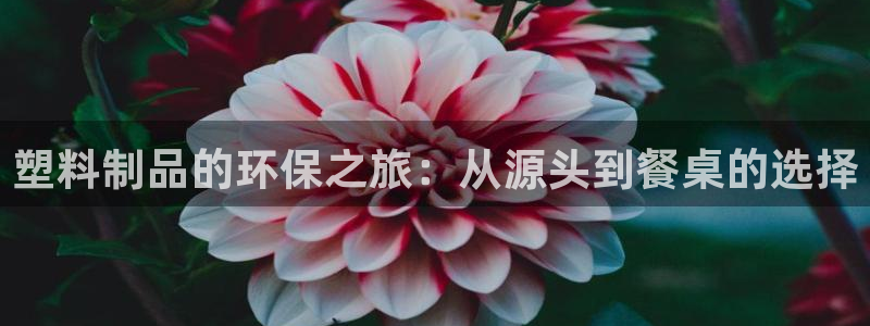 太阳1城集团网址查询：塑料制品的环保之旅：从源头到餐桌的选择