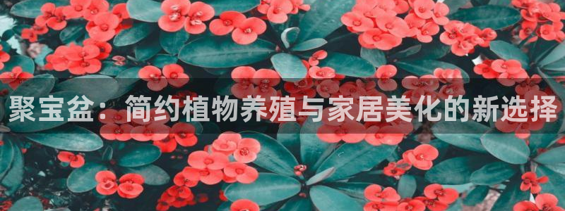 太阳集团娱乐官方网站：聚宝盆：简约植物养殖与家居美化的新选择