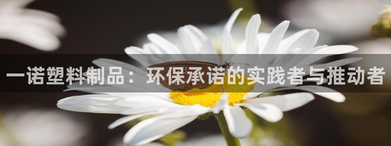 太阳成集团tyc7111cc的研发体系：一诺塑料制品：环保承