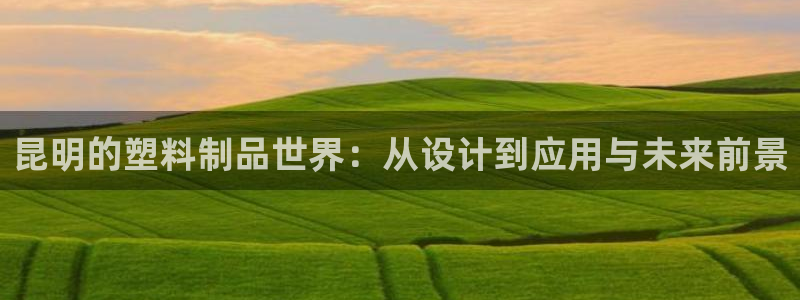 太阳集团是怎样一个公司：昆明的塑料制品世界：从设计到应用与未