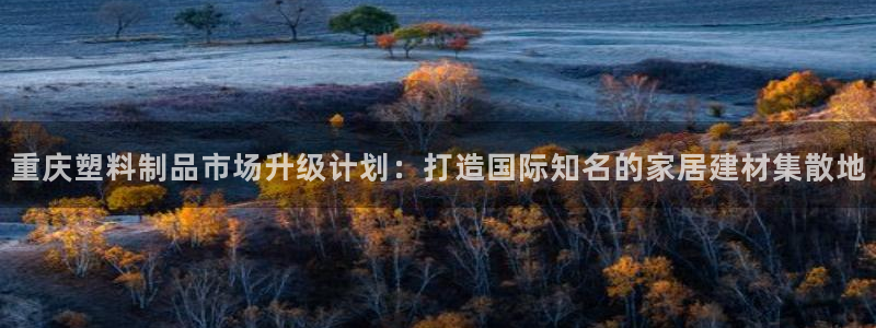 冷太阳演员表：重庆塑料制品市场升级计划：打造国际知名的家居建