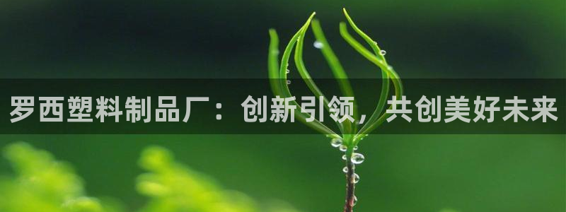 太阳app官方下载：罗西塑料制品厂：创新引领，共创美好未来