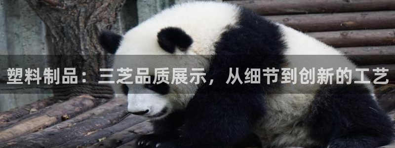 太阳成集团lougo图片：塑料制品：三芝品质展示，从细节到创
