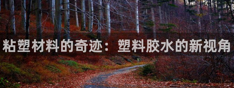 122cc太阳集成游戏官方网站版：粘塑材料的奇迹：塑料胶水的