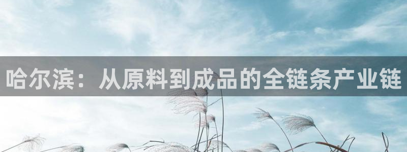 太阳集团网站2018：哈尔滨：从原料到成品的全链条产业链