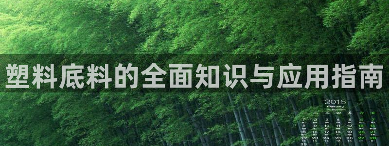 太阳集团游戏城旧版5376：塑料底料的全面知识与应用指南