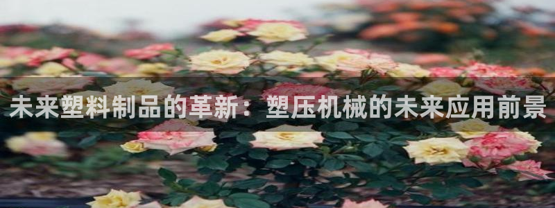 太阳集团城网官方入口：未来塑料制品的革新：塑压机械的未来应用