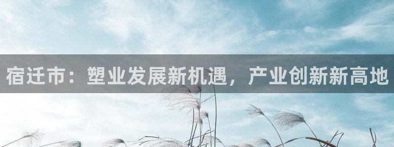 太阳gg注册平台页面：宿迁市：塑业发展新机遇，产业创新新高地