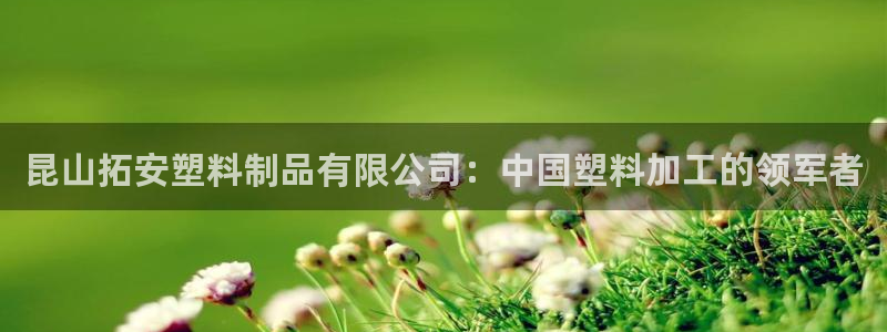 太阳sun网站：昆山拓安塑料制品有限公司：中国塑料加工的领军