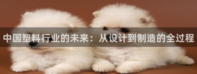 太阳地产集团：中国塑料行业的未来：从设计到制造的全过程