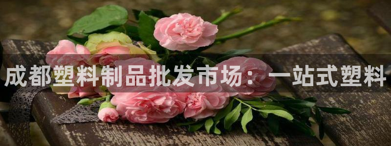 太阳成集团网址 app：成都塑料制品批发市场：一站式塑料