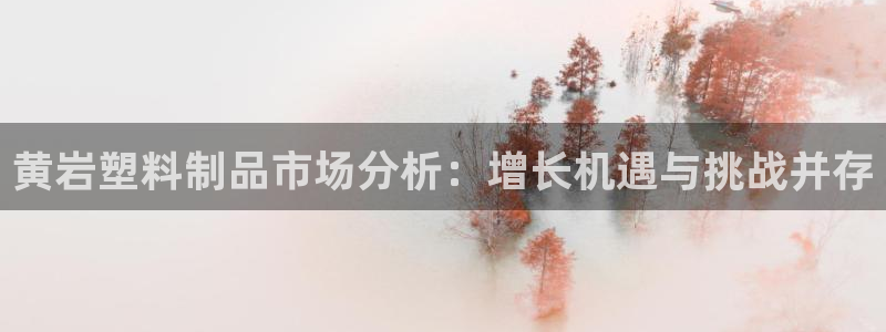 太阳集团是什么公司：黄岩塑料制品市场分析：增长机遇与挑战并存