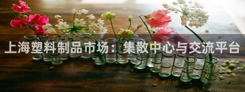 太阳gg是真的吗：上海塑料制品市场：集散中心与交流平台