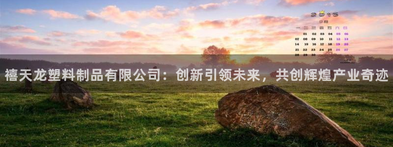 太阳集团是一家什么公司：禧天龙塑料制品有限公司：创新引领未来