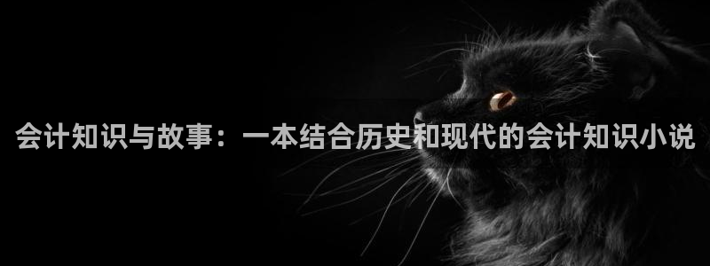 笔趣阁po文小说：会计知识与故事：一本结合历史和现代的会计知识小说