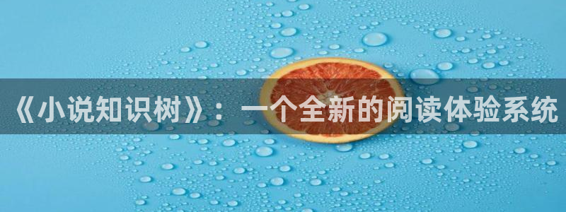 笔趣阁po文小说：《小说知识树》：一个全新的阅读体验系统